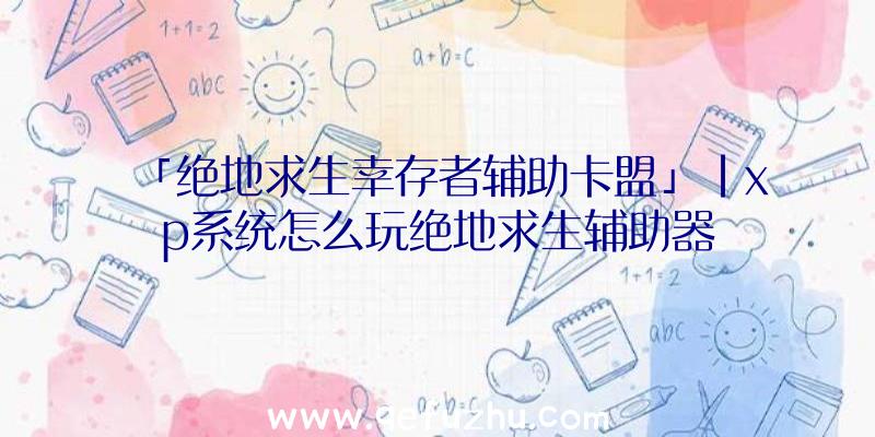 「绝地求生幸存者辅助卡盟」|xp系统怎么玩绝地求生辅助器